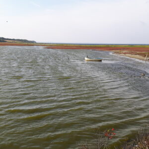 Bøjden Nor Fünen Naturschutzgebiet