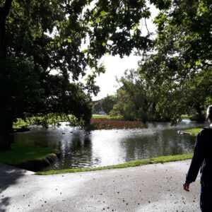 Park in Aarhus