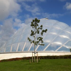 Folienkissen Kuppel im Botanischen Garten in Aarhus