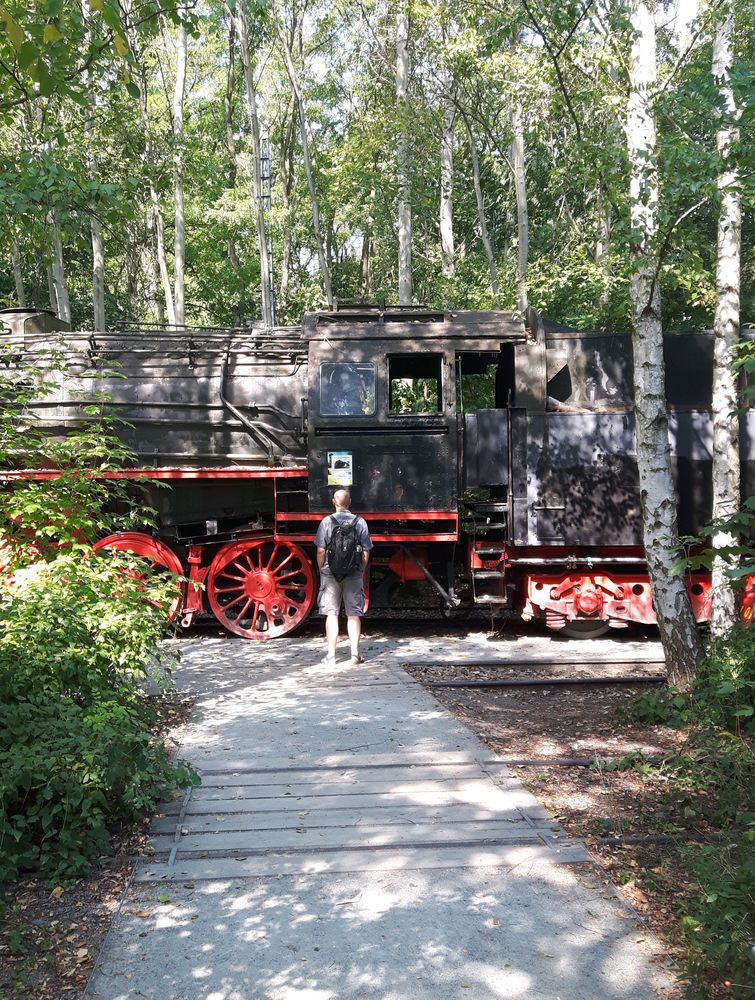 Dampflokomotive im Park Südgelände