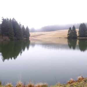 Panorama Auerhahn Teich mit Dani