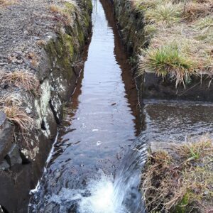Wasserlauf mit Zufluss