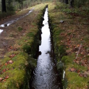 Wasserlauf bei Clausthal-Zellerfeld