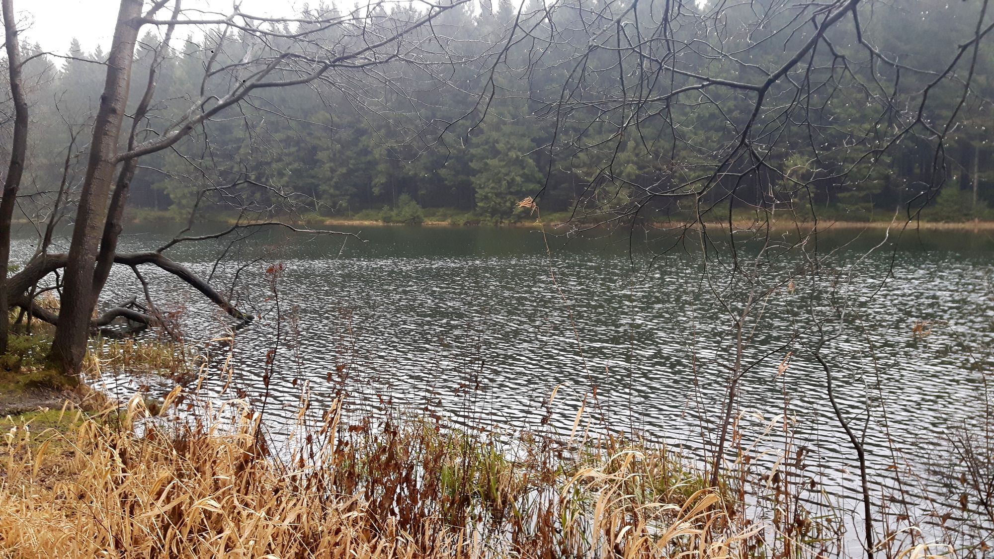 Bergbau Teich im Harz