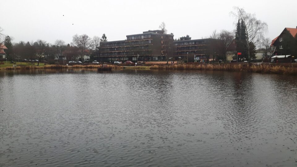 Blick über Kranich Teich zum Apartment Hotel