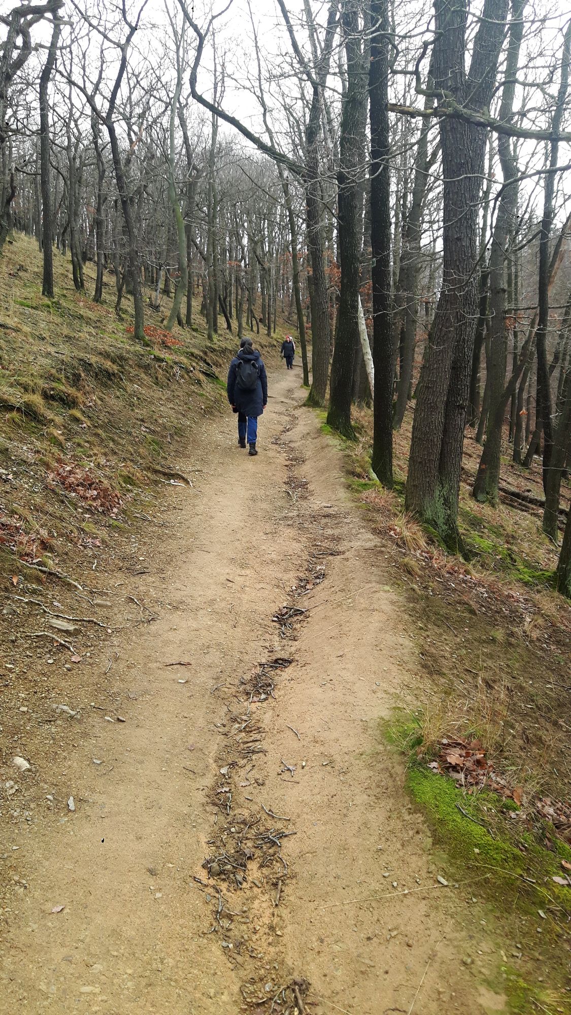 Rundweg zum Kaiserturm auf Armeleuteberg