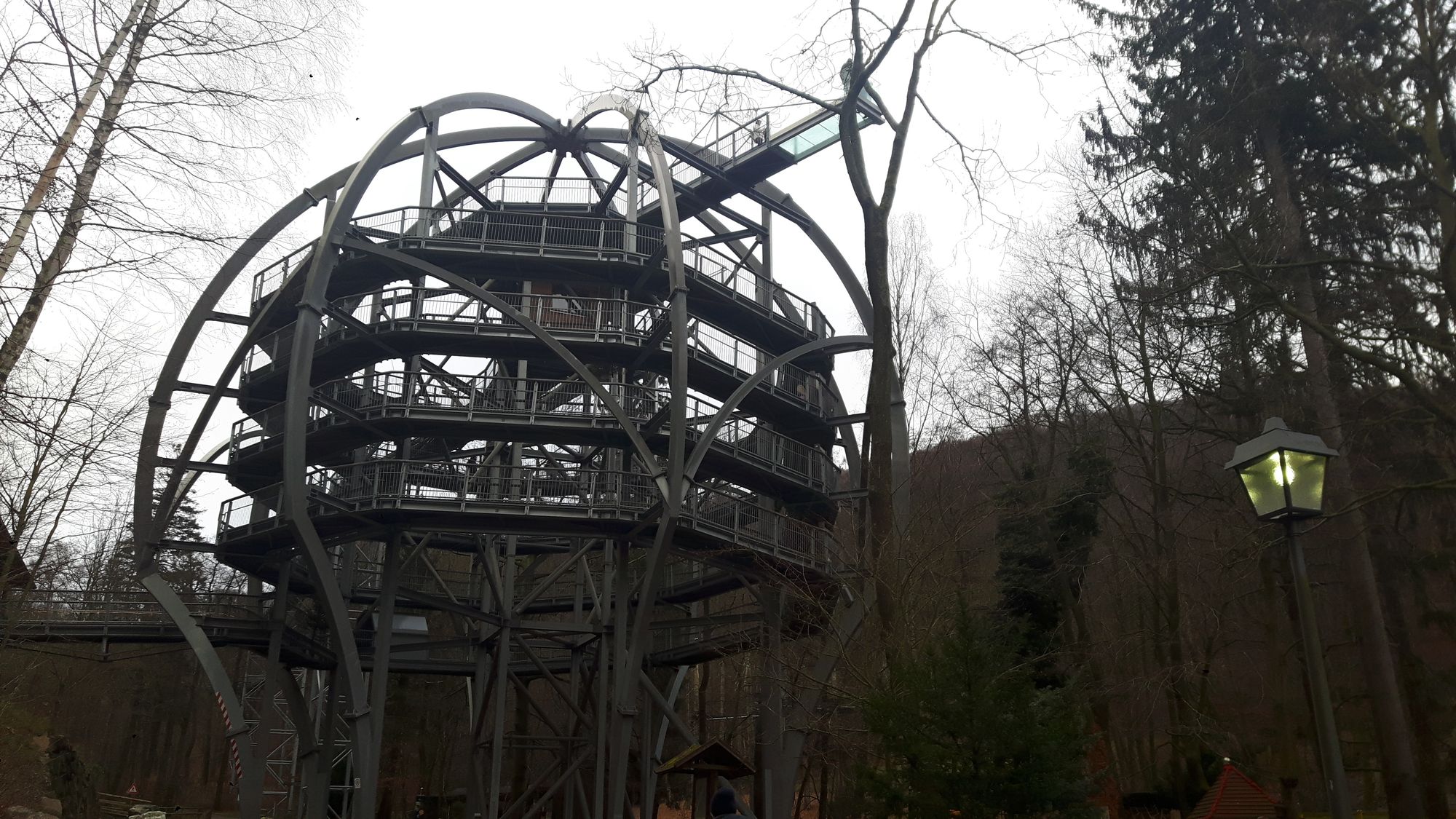 Baumwipfel "Pfad" bei Bad Harzburg