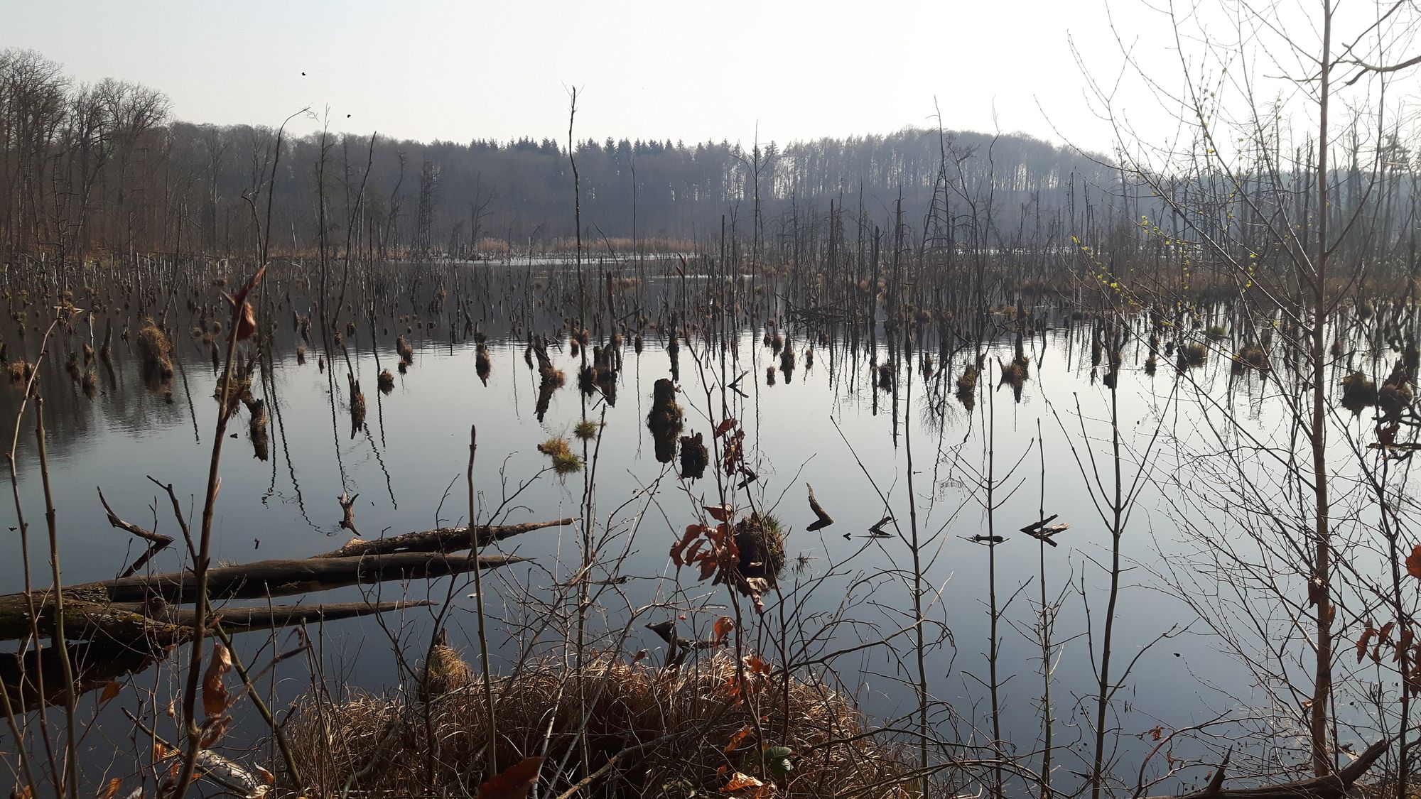 2020 03 Mit dem Rad von Chorin über Brodowin nach Eberswalde