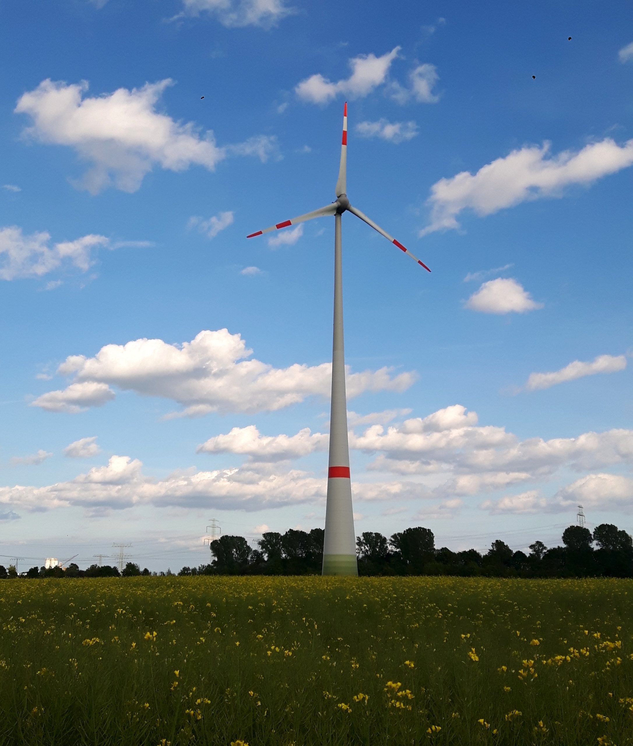 Karow zur Laube Windrad