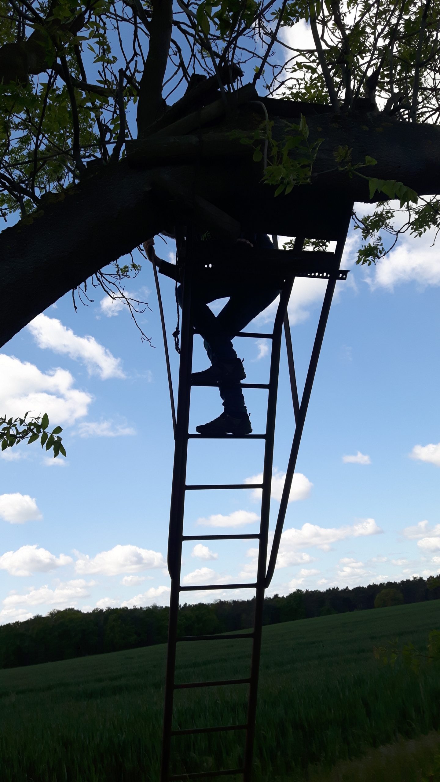 Jägerstand im gegenlicht