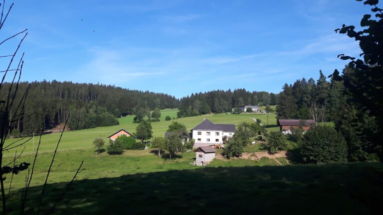 2020 07 Urlaub Niederöstereich Hausrunde Altenschlag