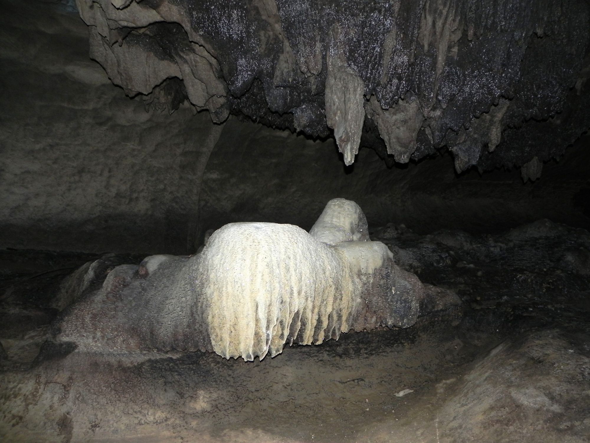 Kuba Vinales Reitrunde Höhle Tropfstein