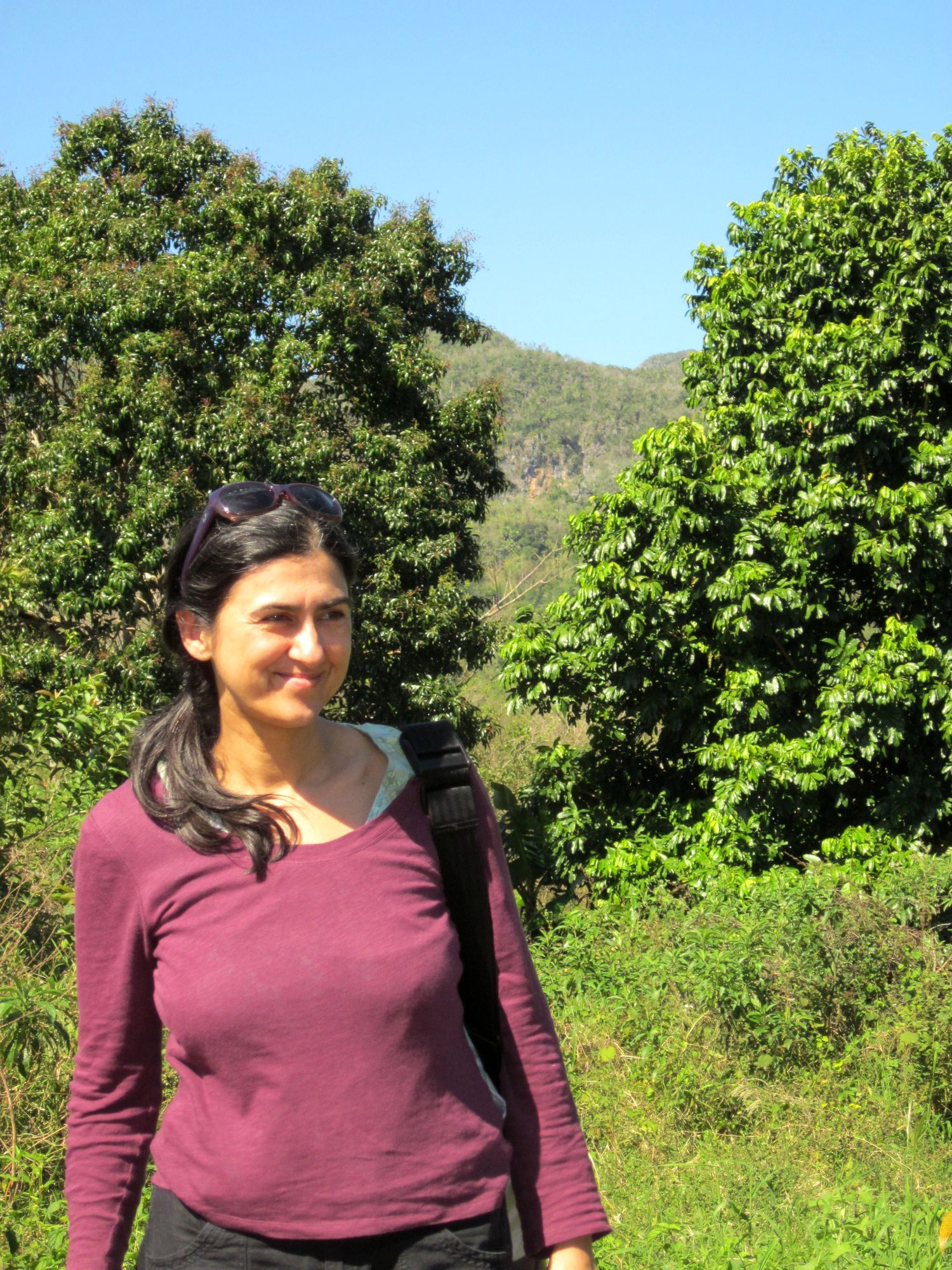 Kuba Vinales reiten Dani