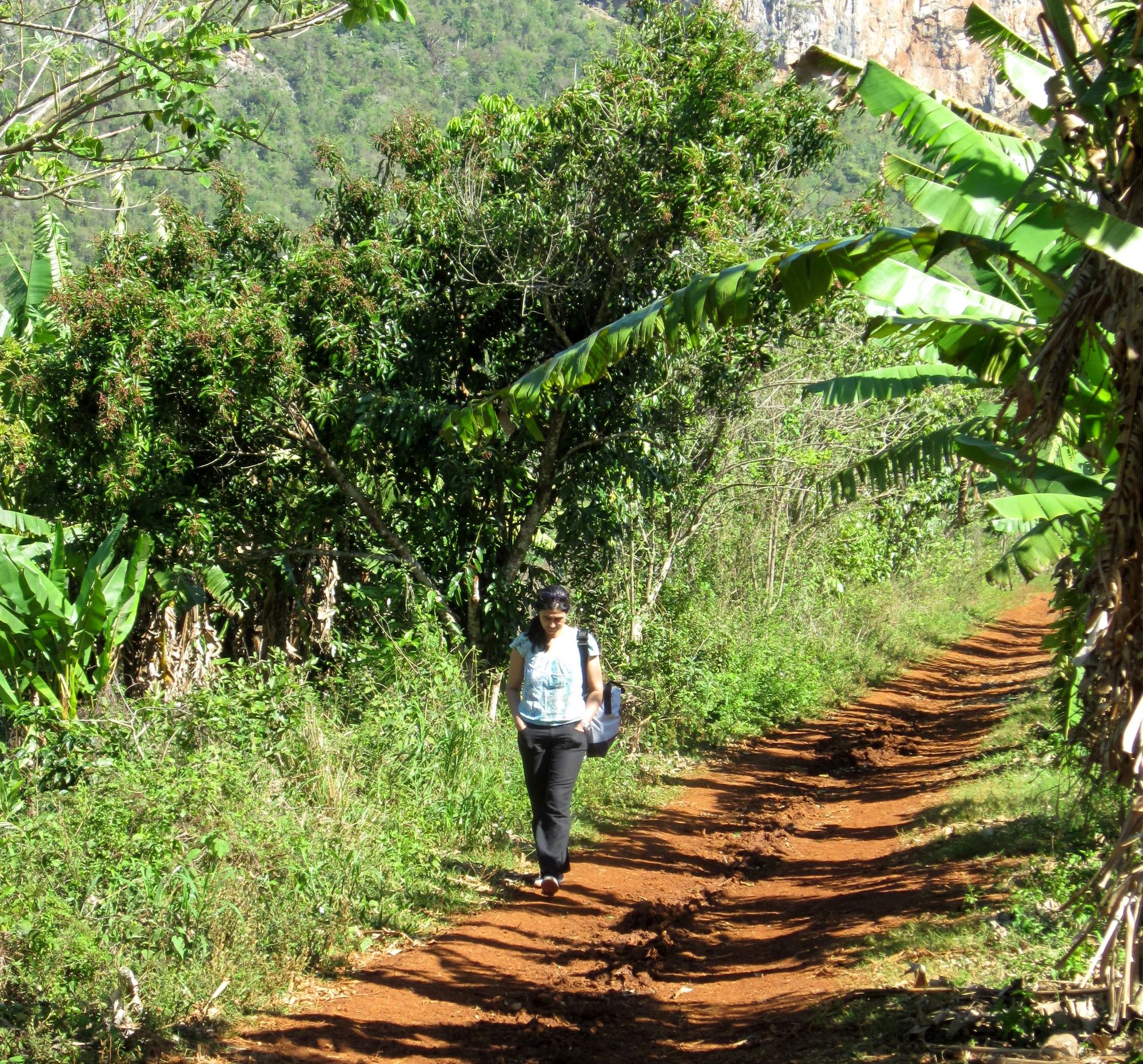 Kuba Vinales Dani geht spazieren