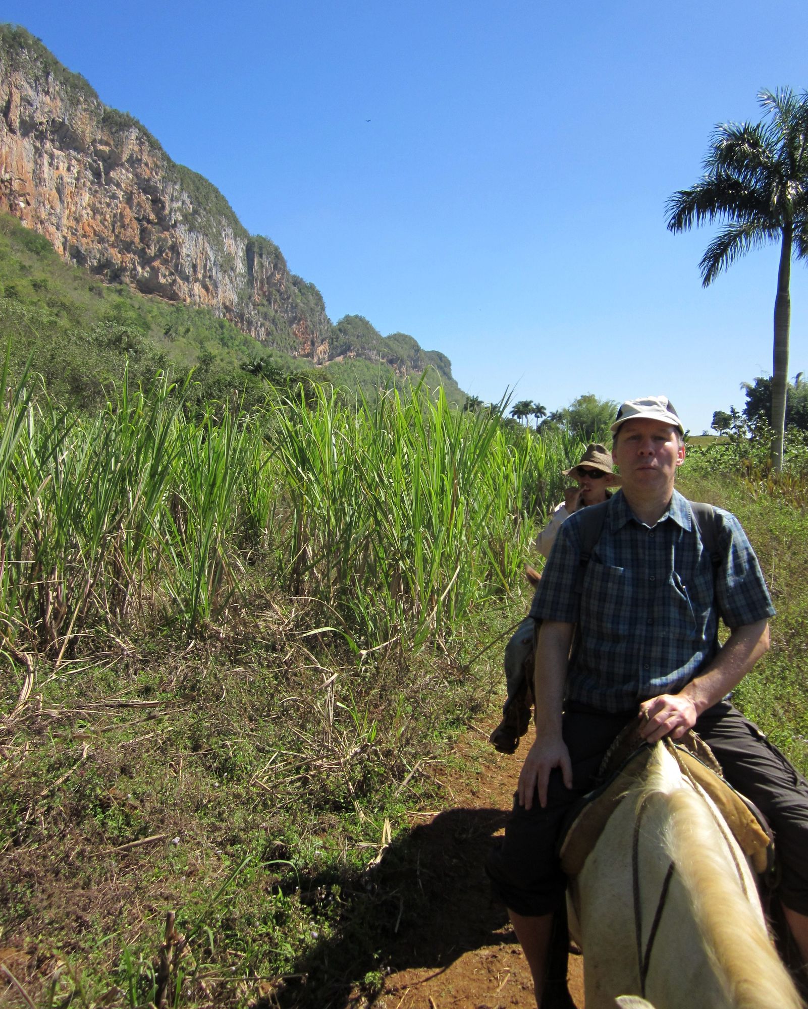 Kuba Vinales reiten Pferd Konrad