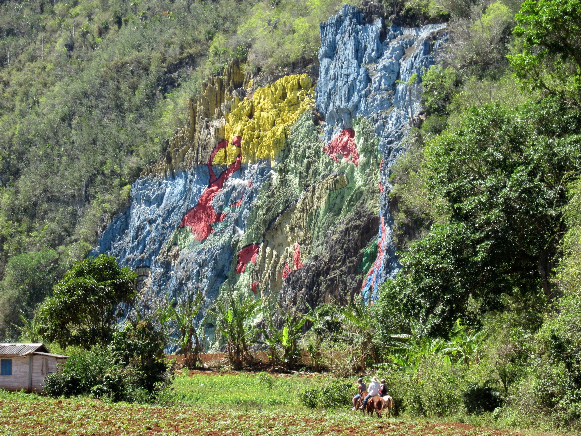 Kuba Vinales reiten Murales