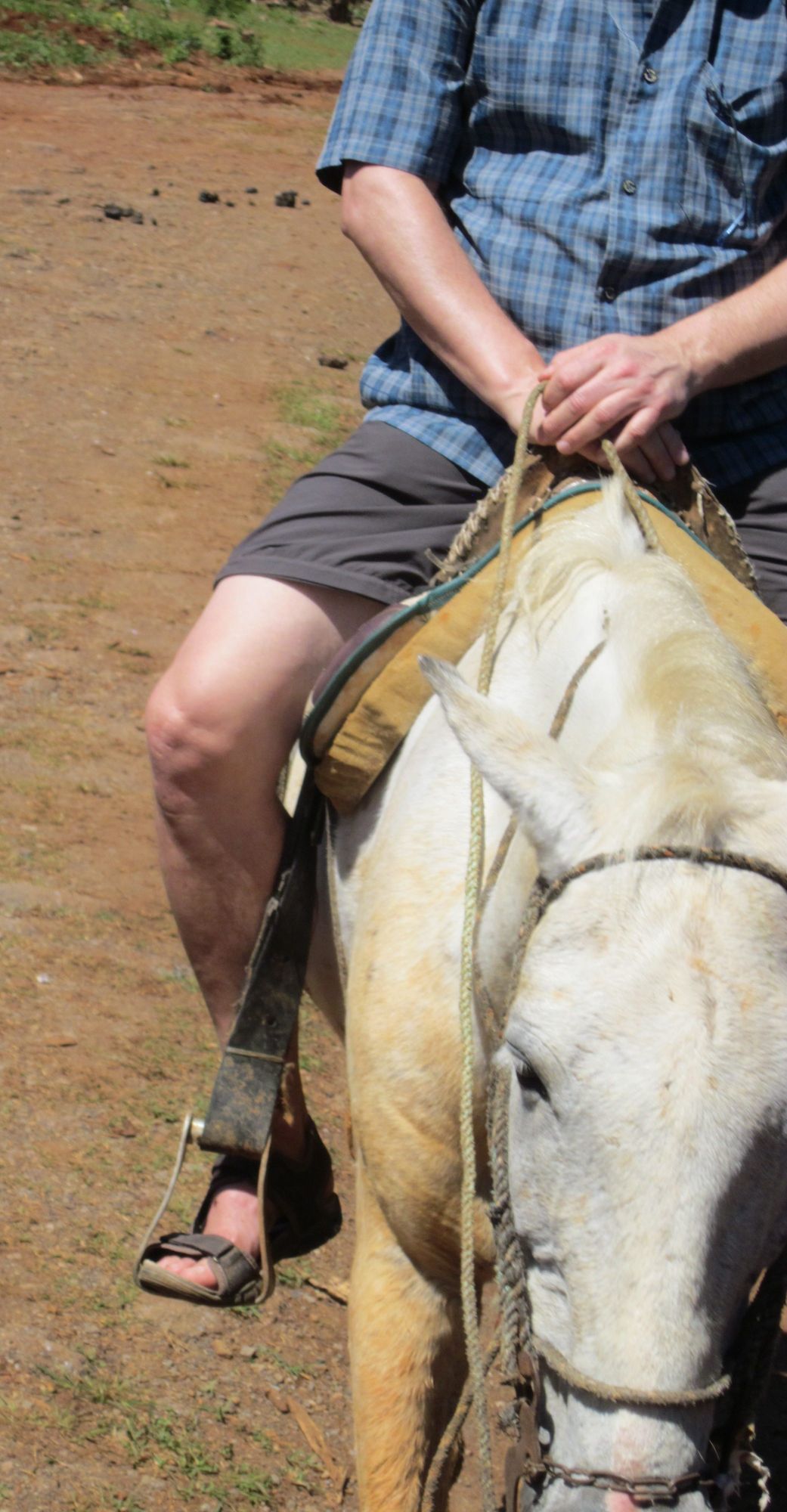 Kuba Vinales reiten Pferd Konrad