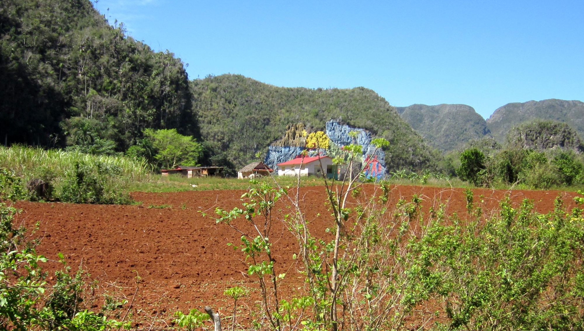 Kuba Vinales reiten Murales