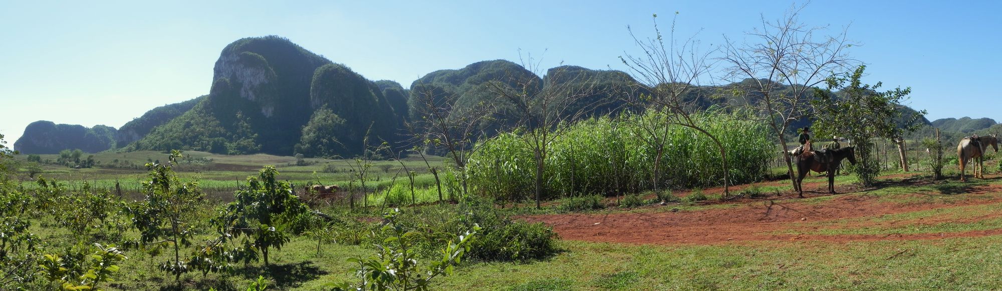 2013 03 Kuba Viñales Spaziergang