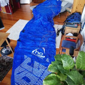 Kite zum Trocknen im Zimmer