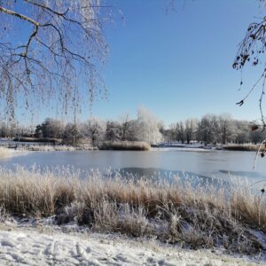 Blick über See mit Eis