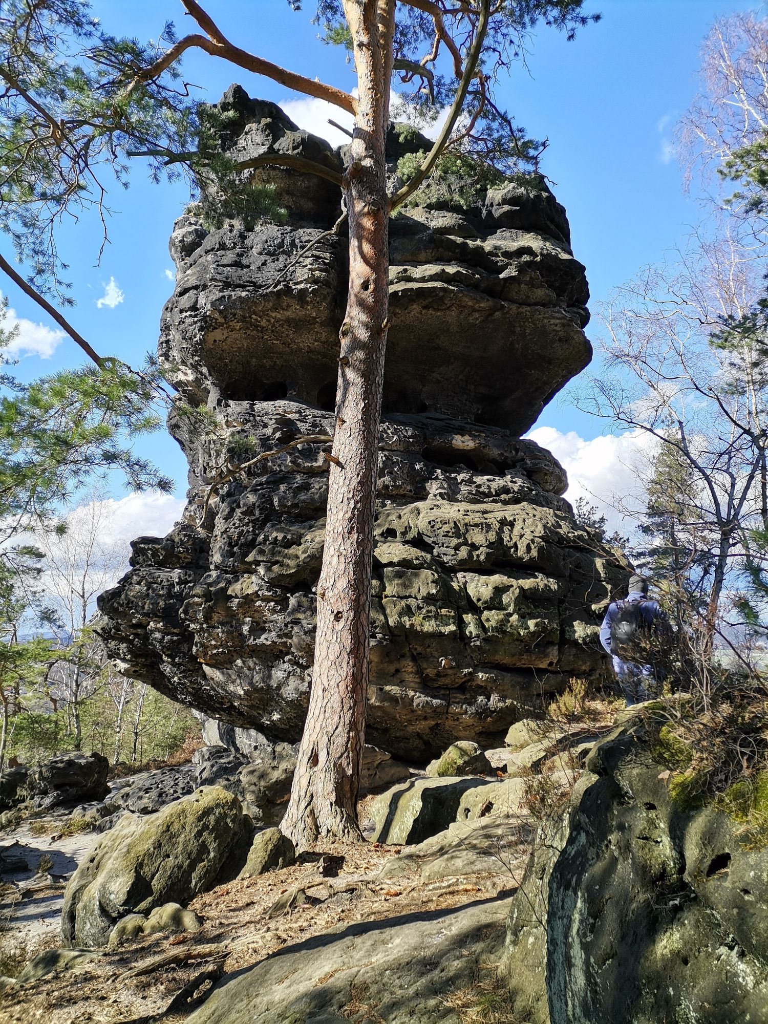 Felsen am Papststein