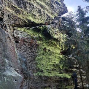 Felsen mit grünen Flechten
