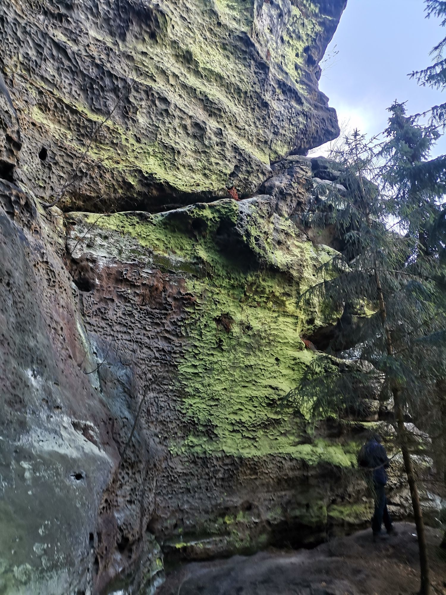 Felsen mit grünen Flechten