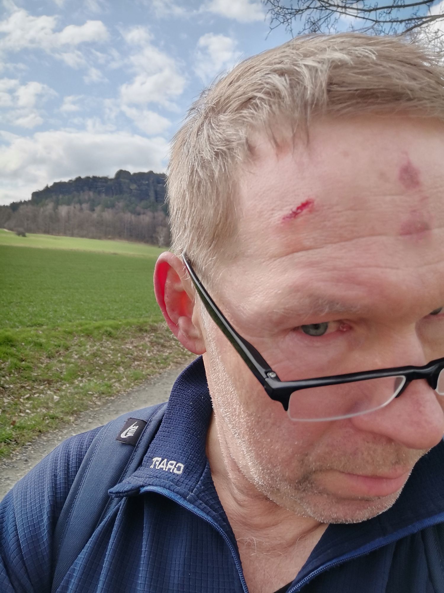 auf dem Pfaffenstein nach Meeting mit Baum