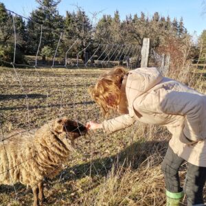 Elisenau Schafe füttern