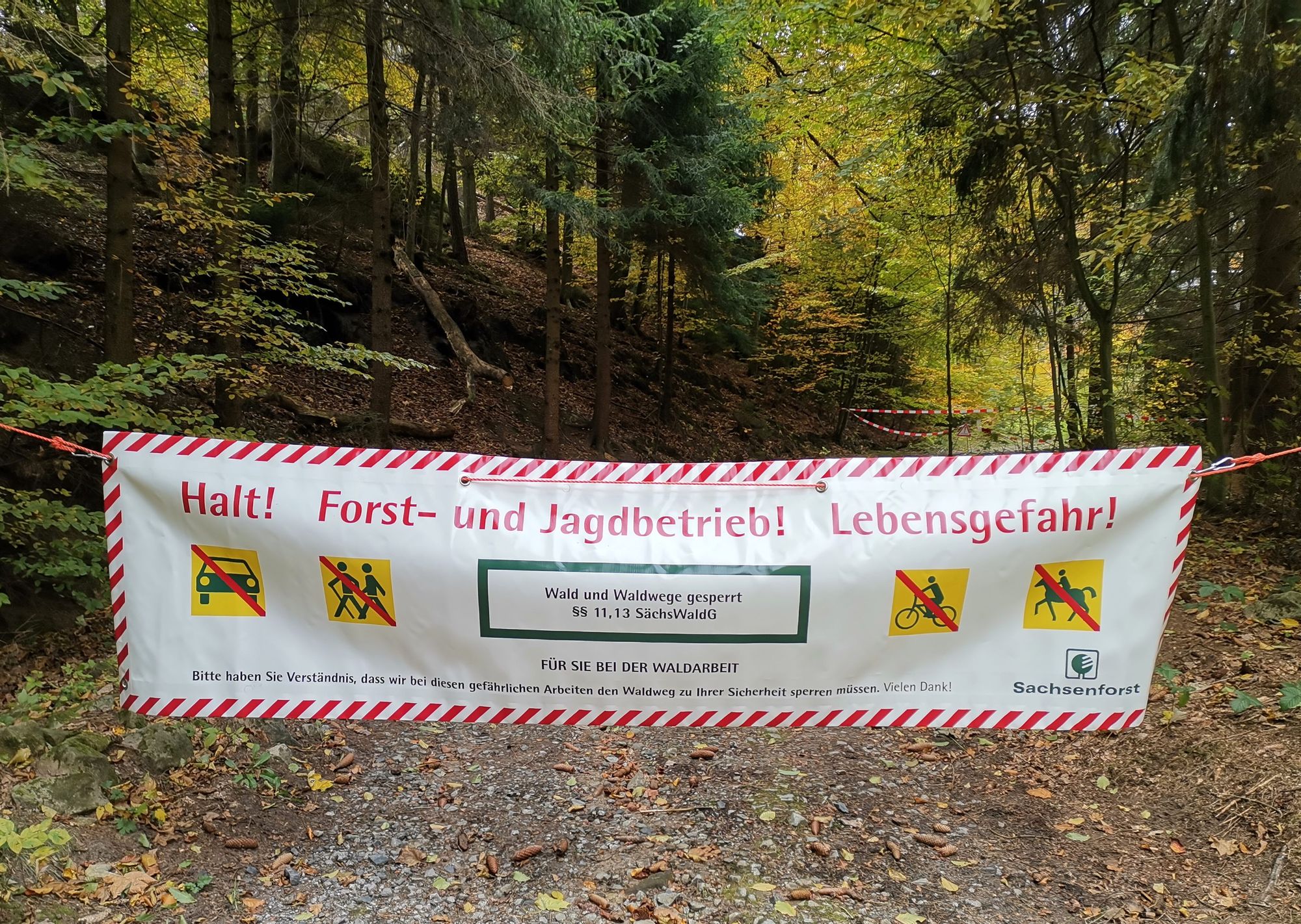 Warnschilder beim Zeughaus: "Wald und Wanderwege gesperrt"