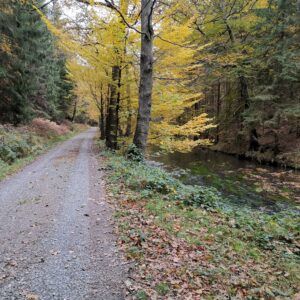 Weg entlang der Kirnitz