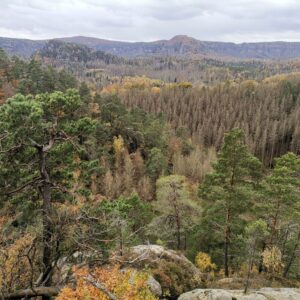 Panoramablick zu den Felsen vom Winterberg