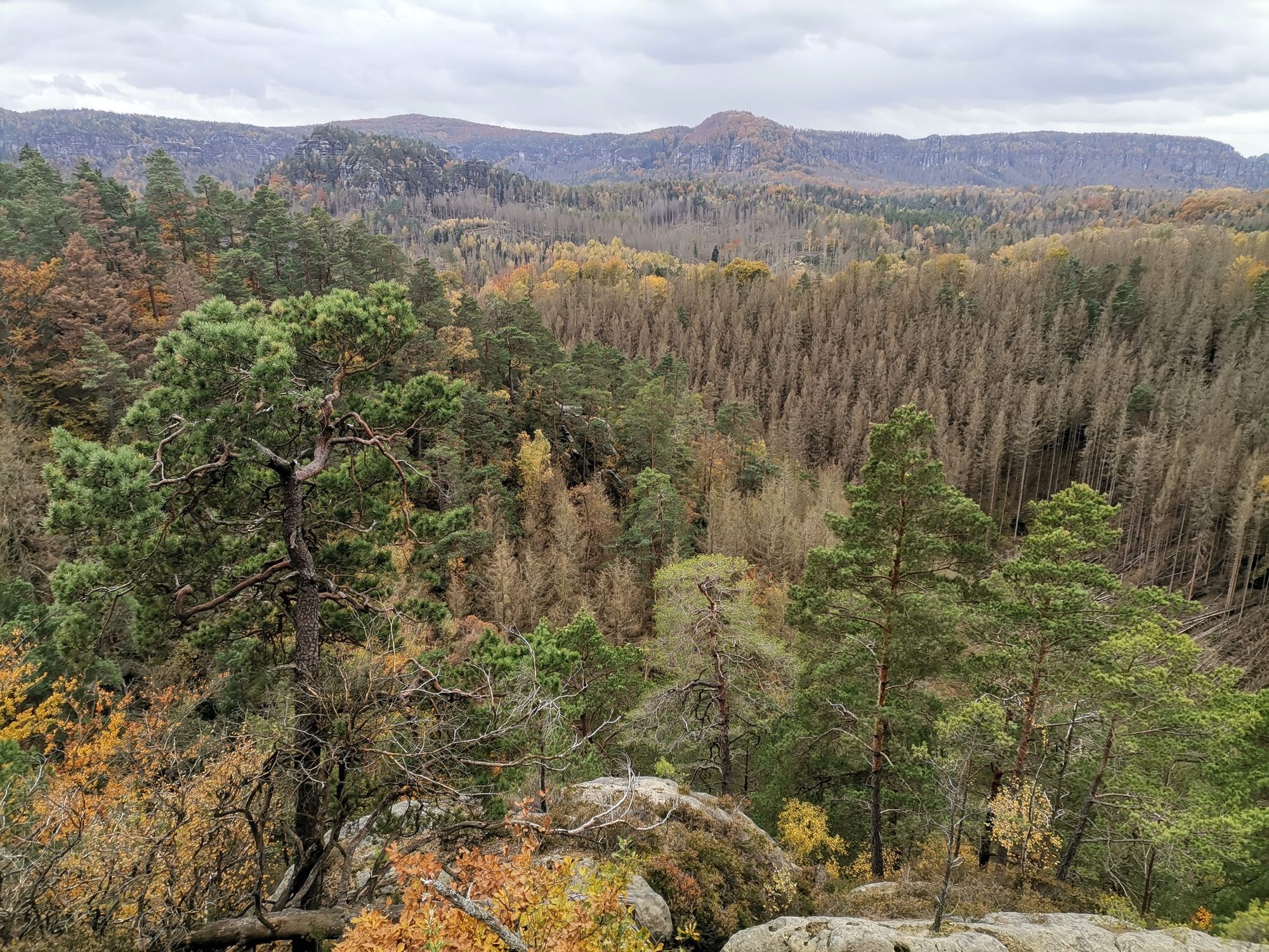 Panoramablick zu den Felsen vom Winterberg