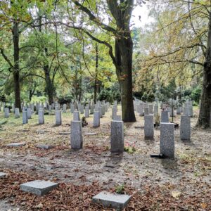 Zentralfriedhof Friedrichsfelde