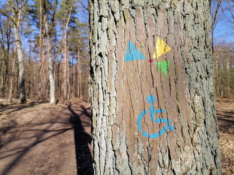 2022 03 auf dem Havelhöhenweg ab S-Bahn Nikolassee bis Schildhorn