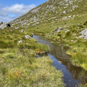 Am steinigen Berg am Bach entlang
