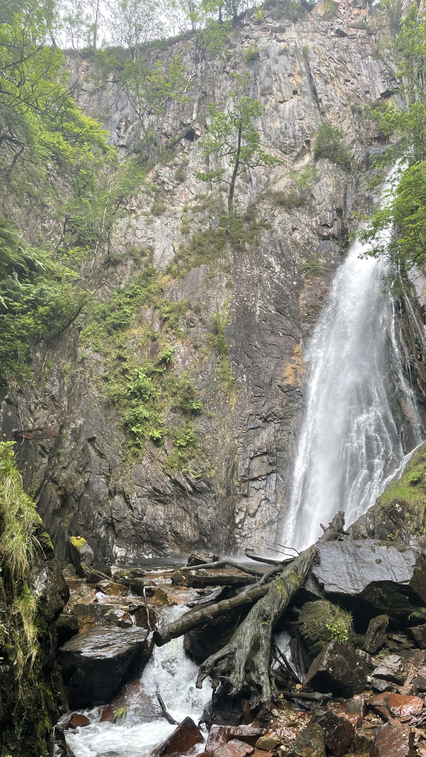 Wasserfall Grey Mare's Tail