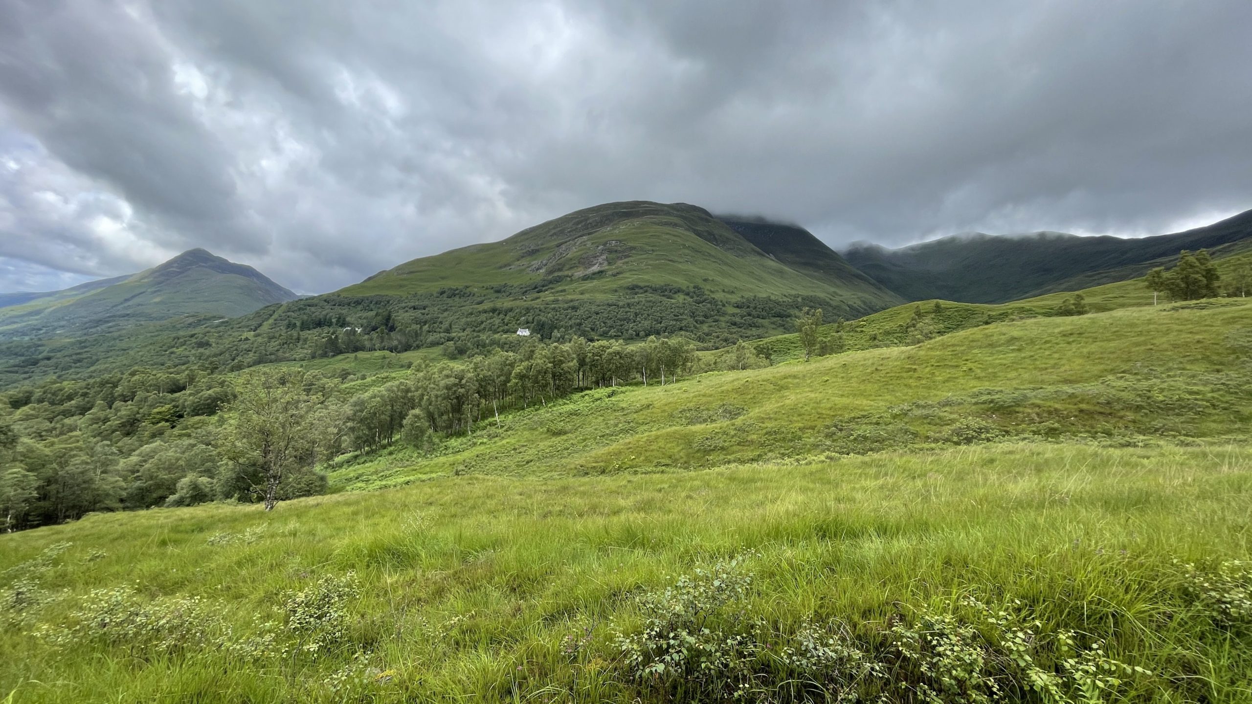 Blick zurück auf den Berg über grüne Wiesen