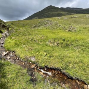 In der Heide am Bach entlang