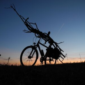 Feuerholz mit dem Rad antransportieren