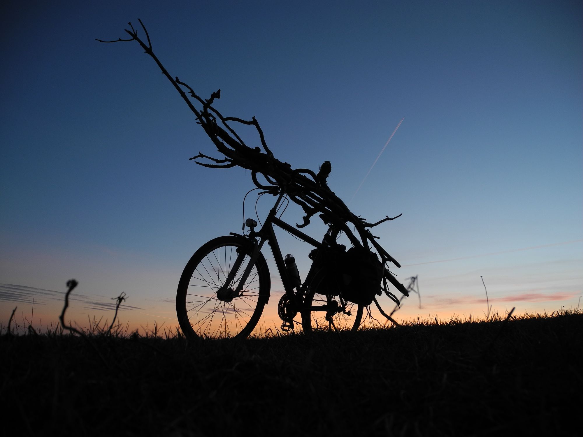 Feuerholz mit dem Rad antransportieren