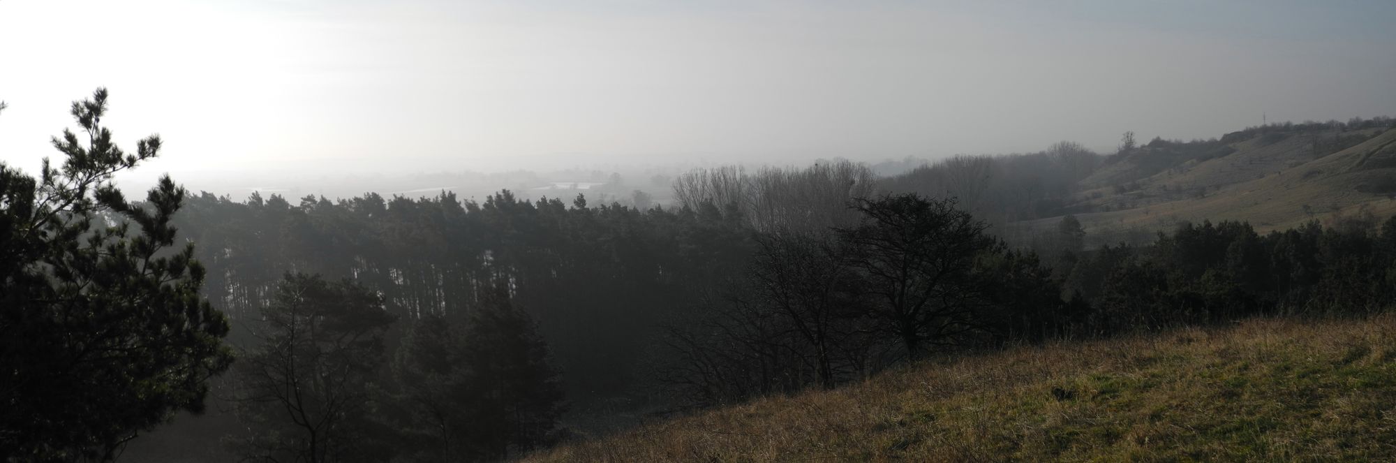 Unteres Odertal Panorama Oder früh Morgens
