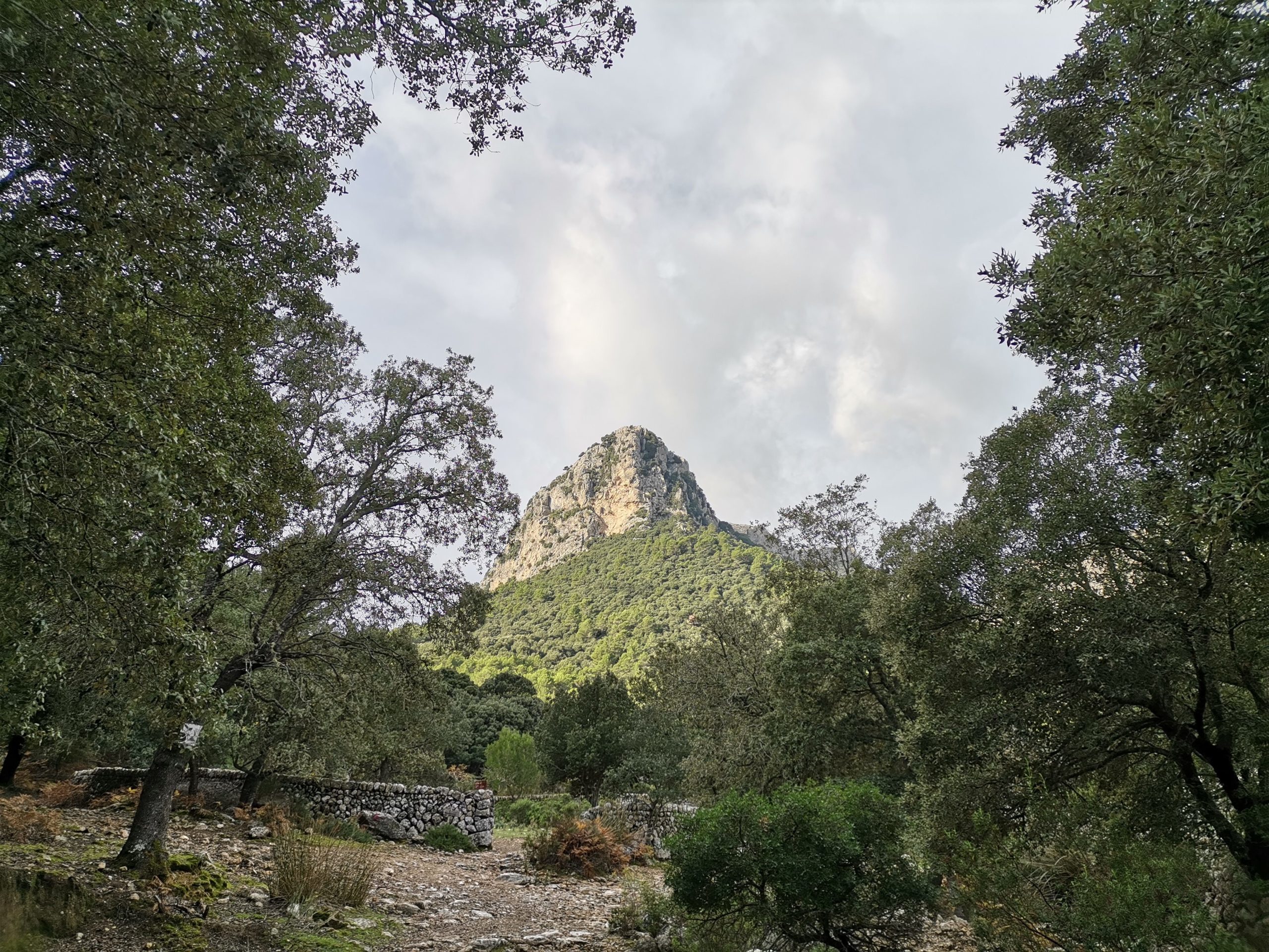 Vorgipfel des Puig Massanella