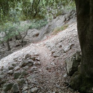 Auf dem Weg zum Puig Massanella