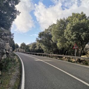 Straßenüberquerung