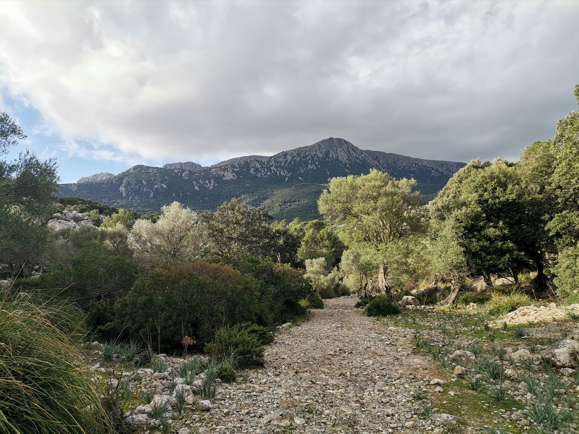 Breiter Wanderweg