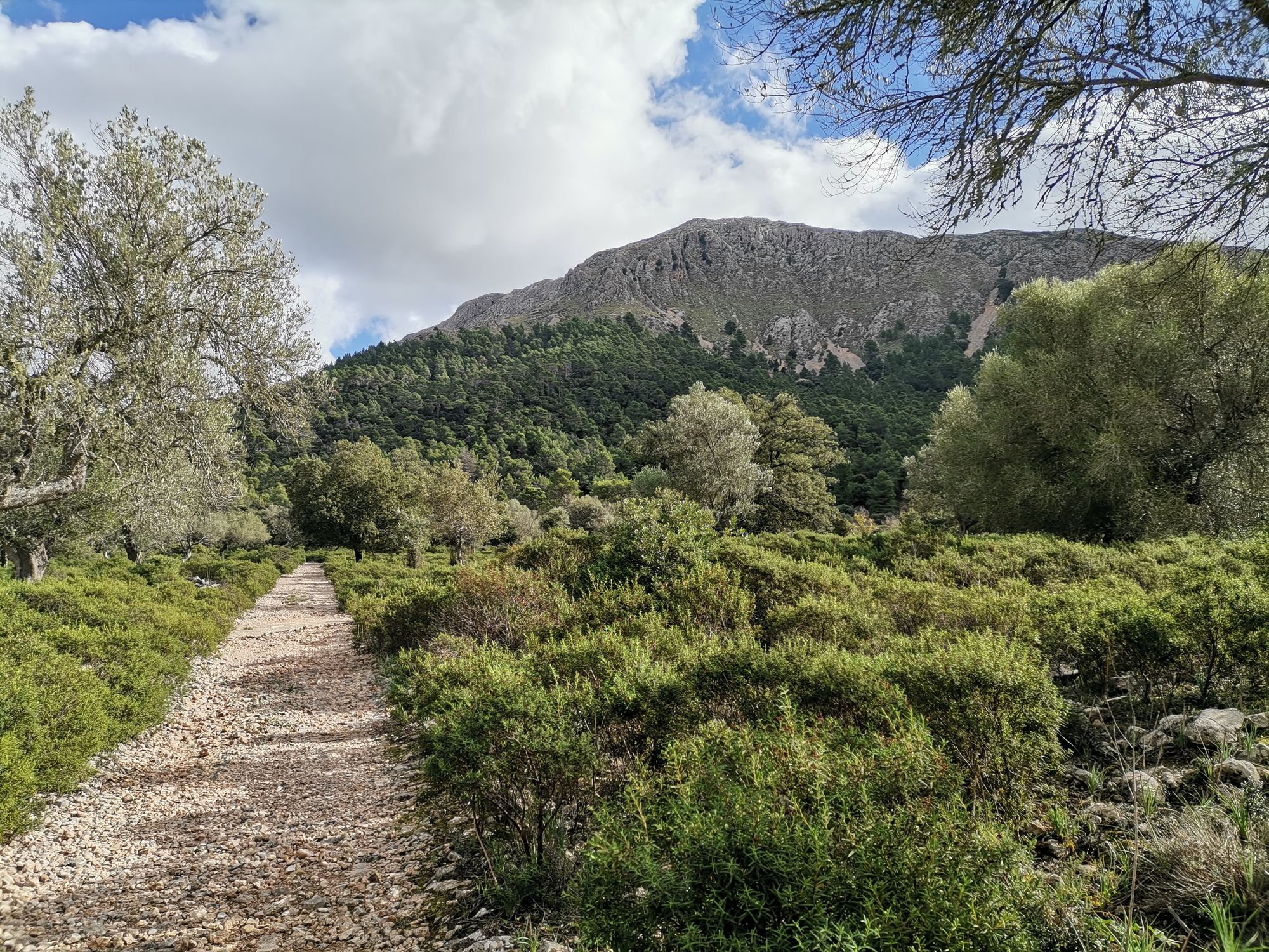 Sonnenbeschienener breiter Wanderweg
