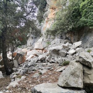 auch ein "Wanderweg" :-)