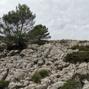 Und noch ein Wander weg